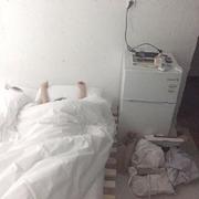 TyBai的个人资料头像