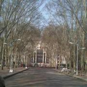 26796的个人资料头像