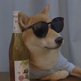秋天的枫夏天的榆头像