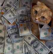 AlanJ的个人资料头像