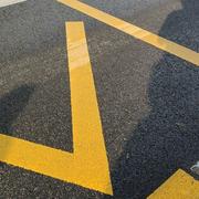 阿兽的撸码之路的个人资料头像