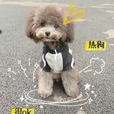 哈喽小义头像