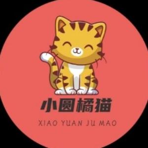 小圆橘猫头像