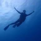 啊啦啦啦啦啦的个人资料头像