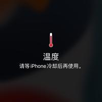 土瓜憨憨头像