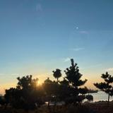 小米海鲜头像