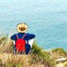 火炉子的个人资料头像