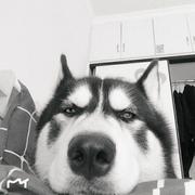 用户7259851550812的个人资料头像