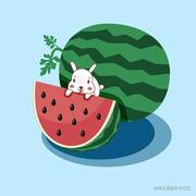 June1900的个人资料头像