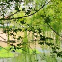 小武123头像