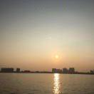 码农三三的个人资料头像