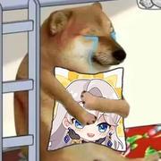 周八早安人的个人资料头像