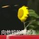 沙漠老叔头像