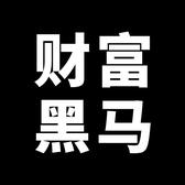 财富黑马头像