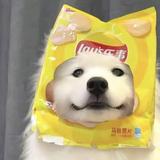 橘生淮南7616头像