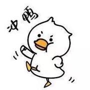 Xi丹的个人资料头像