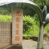 用户5239241204929头像