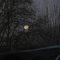 爆炸小面包头像