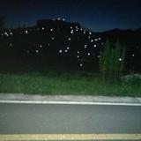 用户2168008524977头像