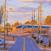 青花锁的个人资料头像