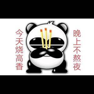 熊猫不熬夜头像