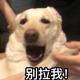 古驰5226头像