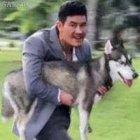 用户1447285377777头像