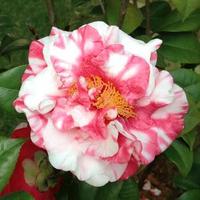 尽如我意172头像