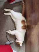 盛才财的个人资料头像