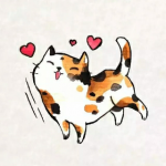 endc的个人资料头像