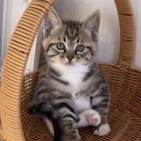 可靠熊猫5hA头像