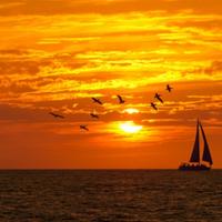 快乐豆花TJM头像