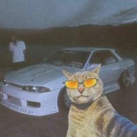 倔强的尼桑头像