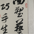 自由的高山X72头像