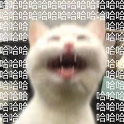 左点儿的个人资料头像