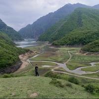 真诚蛋糕1S3头像