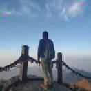 TwistedFate丶林的个人资料头像