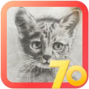 aWei的个人资料头像