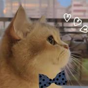 乾乾995的个人资料头像