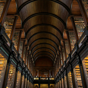 扶兰克林的个人资料头像