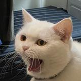 阿惊要上班头像