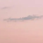 维维豆奶vv的个人资料头像