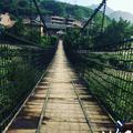 云晓朋头像