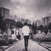 wangyyang的个人资料头像