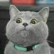 佳鑫的个人资料头像