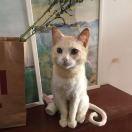 殷君的个人资料头像