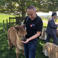 A鹏城刘一手头像