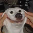 谢思明的个人资料头像