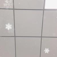 一丝不苟柳叶weG头像