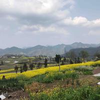 赚钱换飞机头像